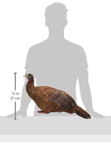 AVIAN-X LCD Turkey Breeder Hen Decoy | Durable Realistic Lifelike Collapsible Standing Hunting Decoy with Carry Bag & Stake, AVX8008
