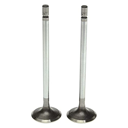 Exhaust Valve Mahle - 211-4521