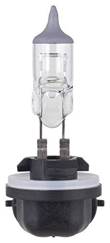 898 Philips Standard Fog Bulb (Pack of 1)