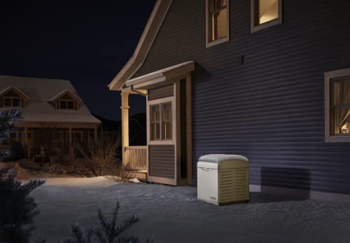 Standby Generator 10kW with 12 circuit TS