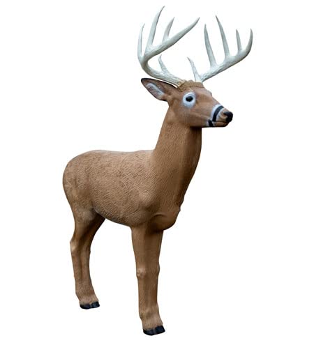 Midwest Rinehart Buck IBO Hunting Target