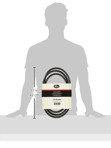 Belt Gates