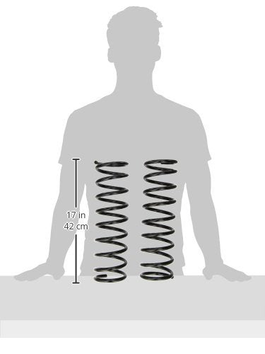 Coil Spring Set MOOG 80099 for Ford Focus