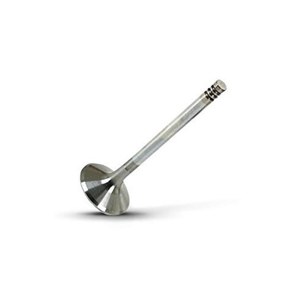 Exhaust Valve Mahle - 681VA31289000