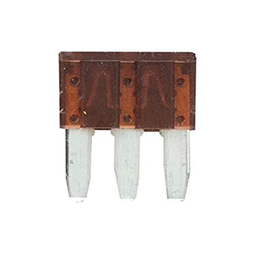 ATL55 Install Bay 5 Amp 3 Prong Fuse, 5 Pack
