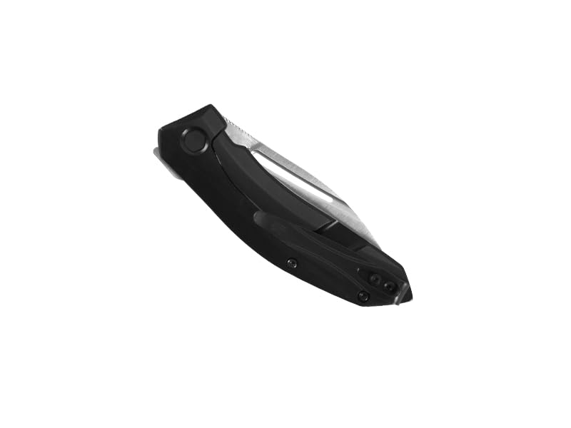Kershaw Leaf Blade Turismo Pocket Knife 2.9 inch Blade, Assisted Opening Frame Lock, 5505, Black, 2.8 Ounce