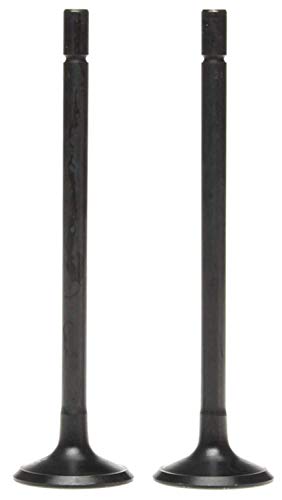 Engine Intake Valve MAHLE 2114264