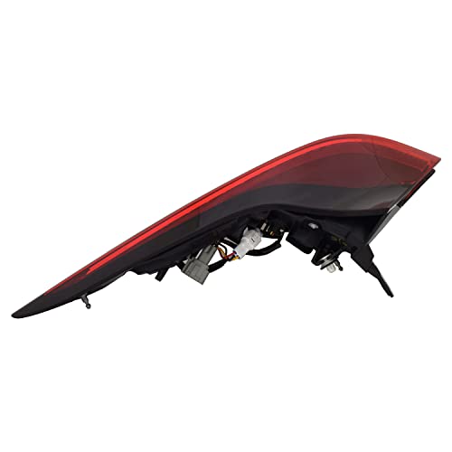 Tail TYC Lamp