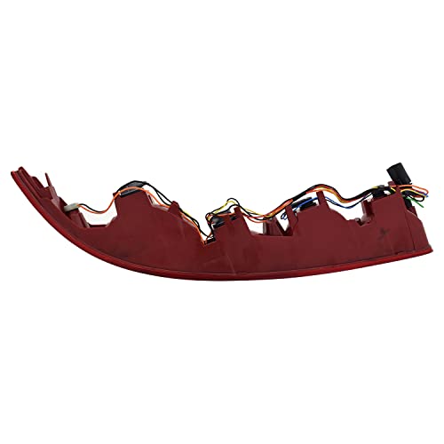 Tail TYC Lamp