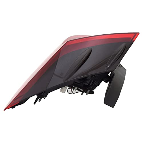 Tail TYC Lamp