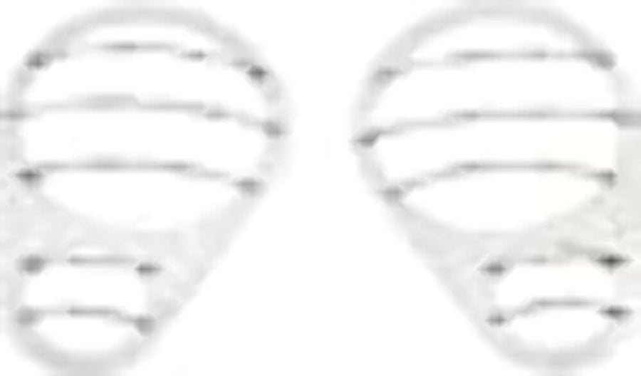Headlight Guards Kentrol (Pair)