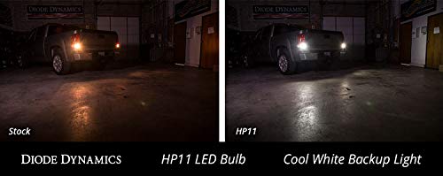 7440/7443 HP11 Diode Dynamics Backup LED Bulbs