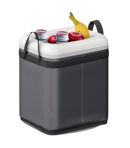 Dometic Insulated GO Insert for Portable Gear Storage, 10L