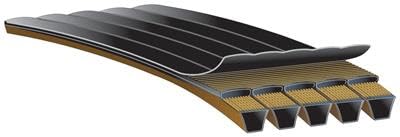 6442BR Gates V-Belt