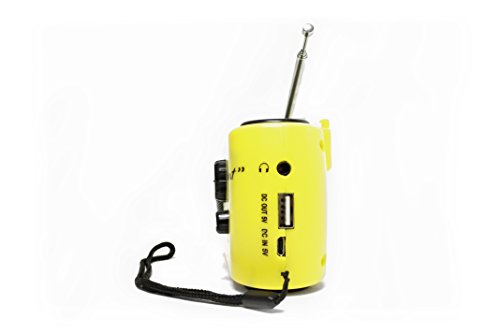 Solar Dynamo Element AM/FM/NOAA Emergency Radio – Crank, USB & Power with Flashlight, SOS Alert & Weather Alerts – Ideal for Disaster Prep, Camping & Survival Kits