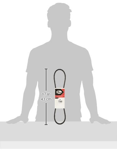 XL High Capacity Automotive V-Belt