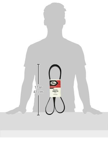 K080755 Gates Belt