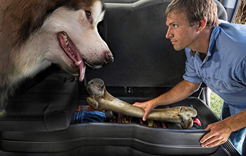 Storage Box Under Seat