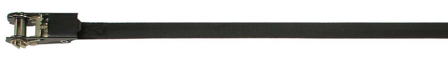 Continuous Loop CargoBuckle F13757 Ratchet Tie-Down