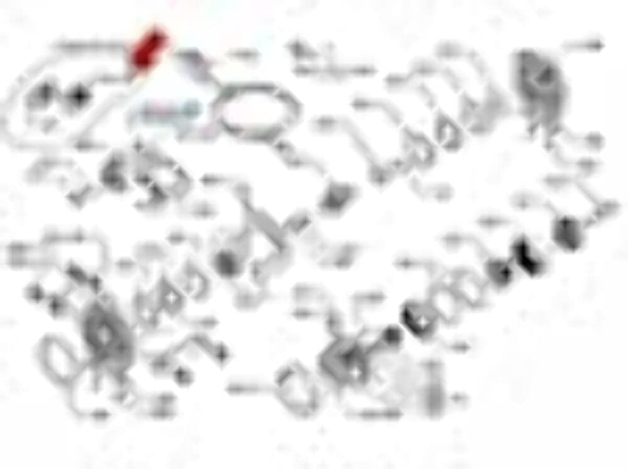 172920 HMIND