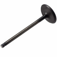 V5569 Melling Stock Replacement Engine Intake Valve