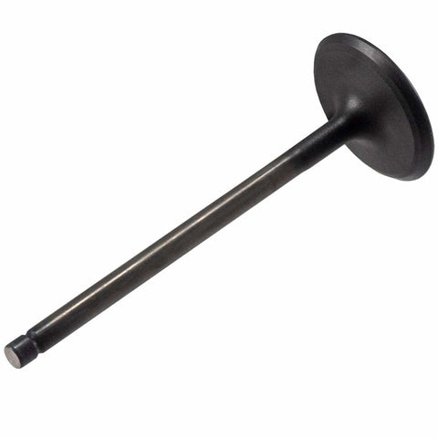 V5569 Melling Stock Replacement Engine Intake Valve