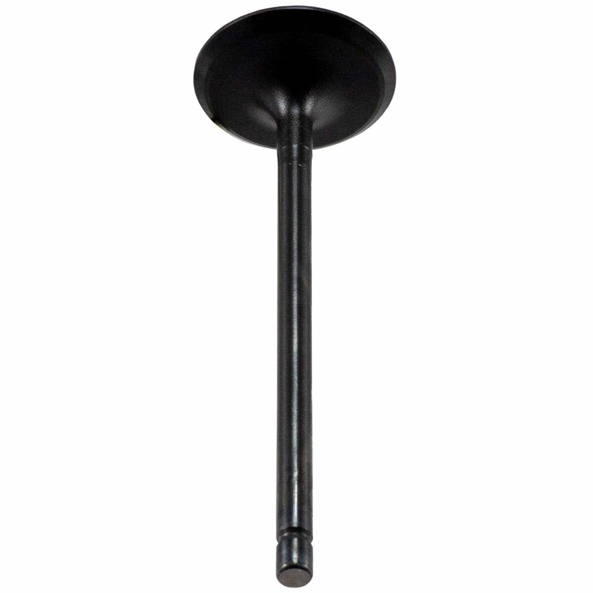 V5565 Melling Stock Replacement Engine Intake Valve