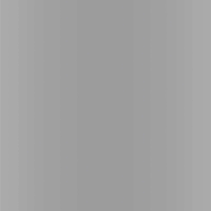 Ford Silver Metallic Dupli-Color EBFM02267 Perfect Match Automotive Spray, 1E – 8 oz. Aerosol Can