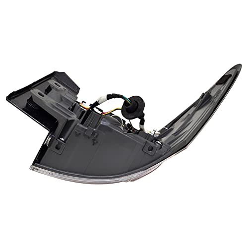 Tail TYC Lamp