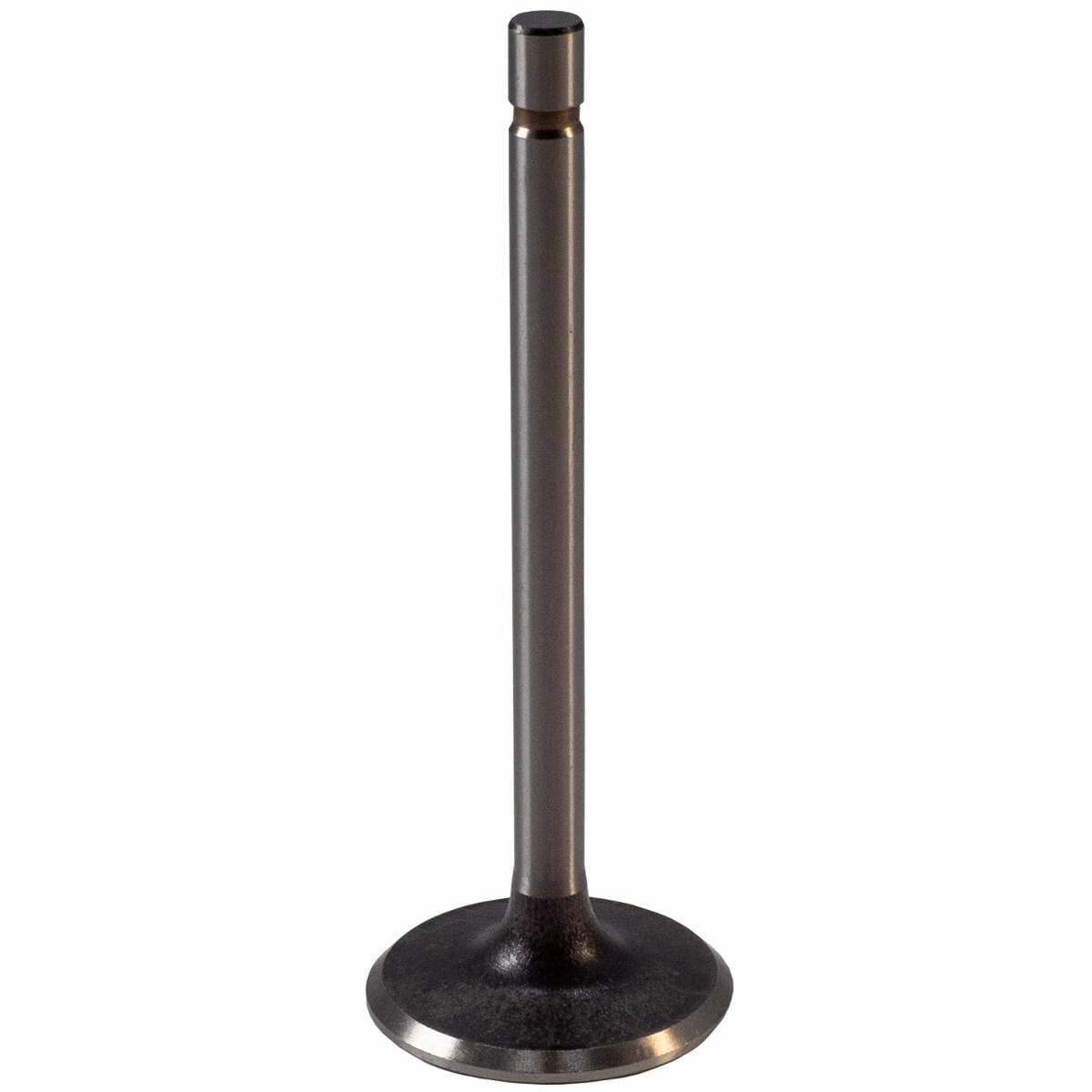 V1001 Melling Intake Valve