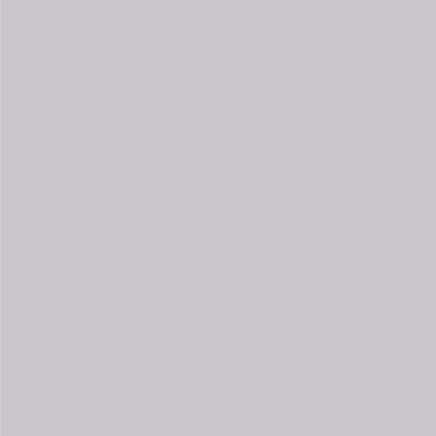 Chrysler Charcoal Gray Dupli-Color EBCC03317 Perfect Match Automotive Spray Paint – 8 oz. Aerosol Can