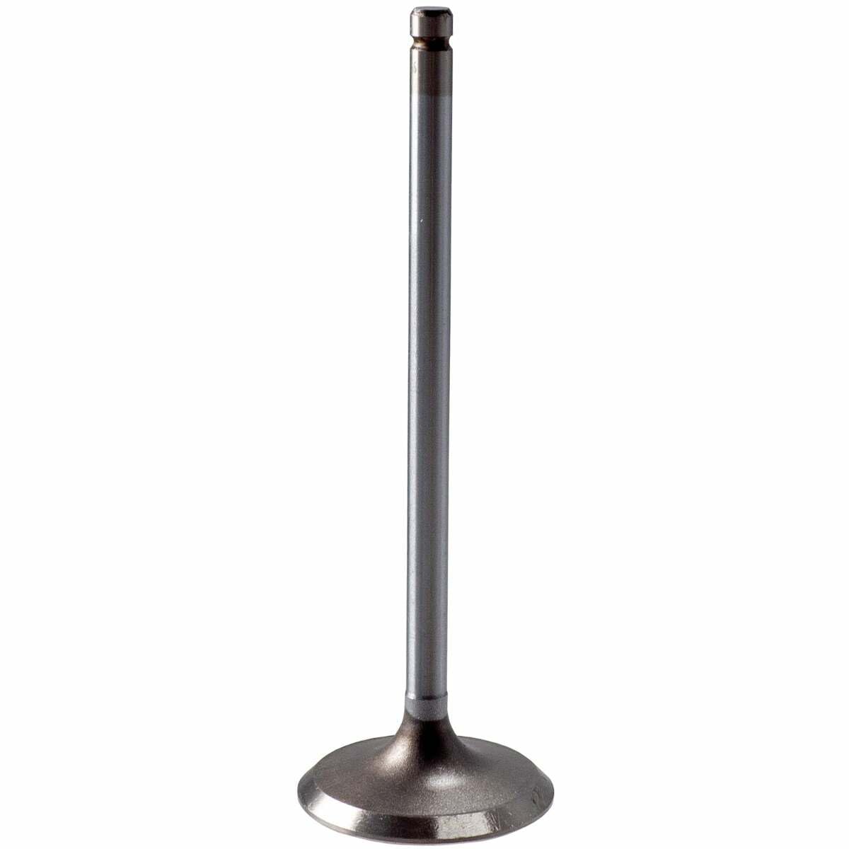 V1902 Melling Intake Valve