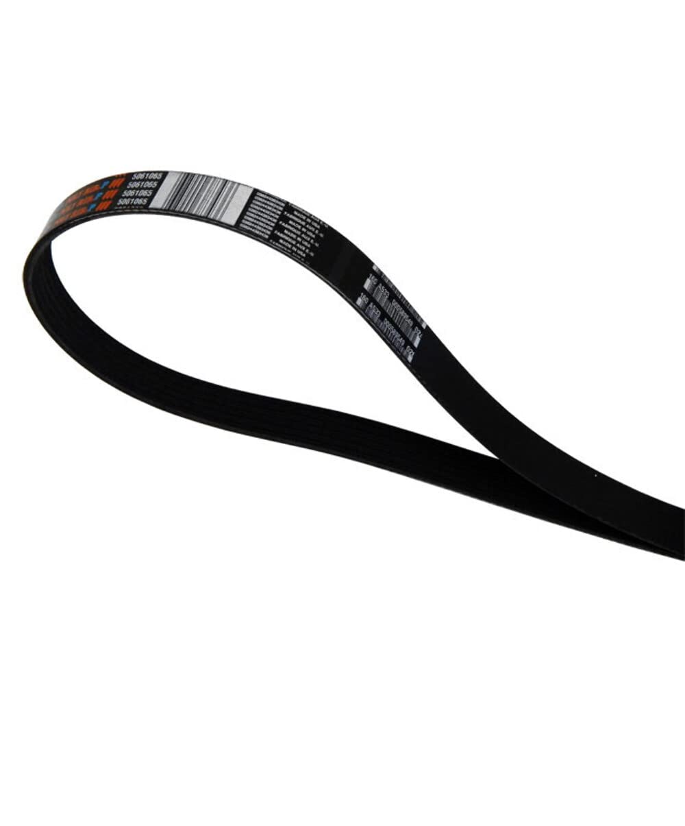 Sierra International 18-15101 Serpentine Belt Serpentine Belt