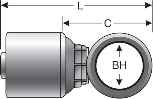 G25850-0404 nobrandname International Thread British Std Pipe Banjo (MegaCrimp)