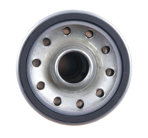 KC300 Mahle Fuel Filter