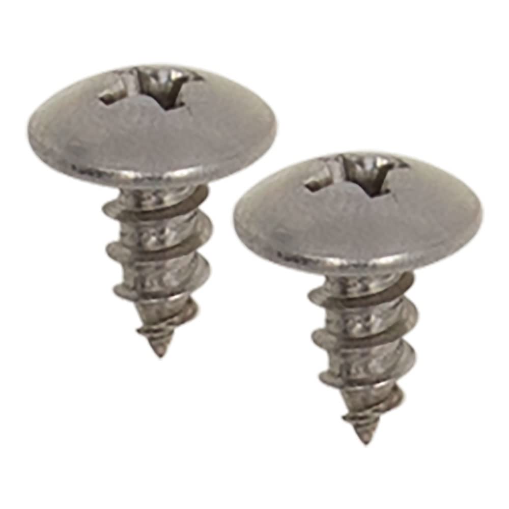 Phillips Truss Head Install Bay #8 X3/8In Type A Stainless Screws 100Pk
