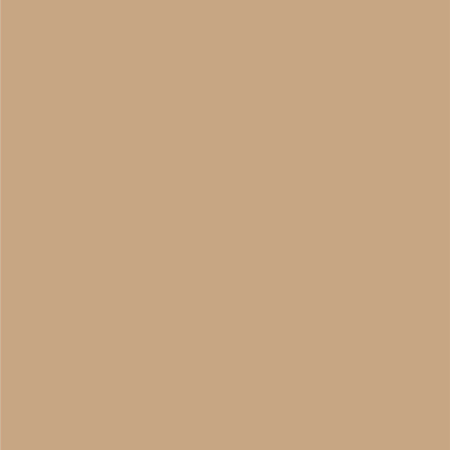 Ford Mocha Frost Metallic Dupli-Color EBFM03167 Perfect Match Automotive Spray – 8 oz. Aerosol Can