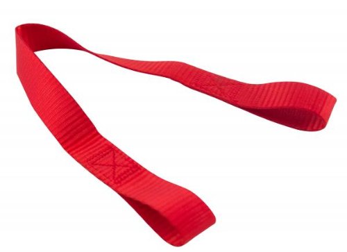 Assist Strap Erickson 56304