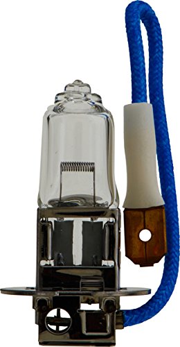 12455RAB1 Philips H3-100W Standard Fog Bulb (Pack of 1)