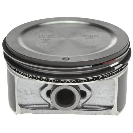 224-3663WR Mahle Piston