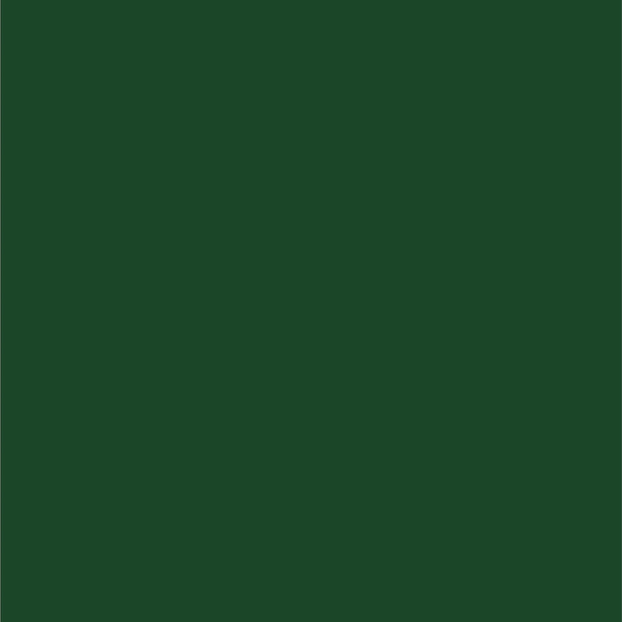 Perfect Match Dupli-Color EBFM03277 Automotive Spray Paint – Ford Deep Jewel Green Metallic, PA/TM – 8 oz. Aerosol Can