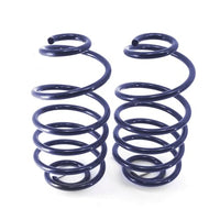 Dual-Rate Rear Coil Springs, 2 Drop | 1968-1972 GM A-Body