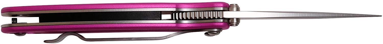 Kershaw Pink Chive Pocket Knife, 1.9" 420HC Steel Blade, 410 Stainless Steel Handle, Assisted Opening with Flipper, Small EDC