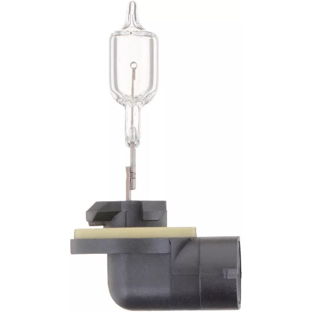 Standard Fog Bulb Philips Automotive Lighting 894 (Pack of 1)