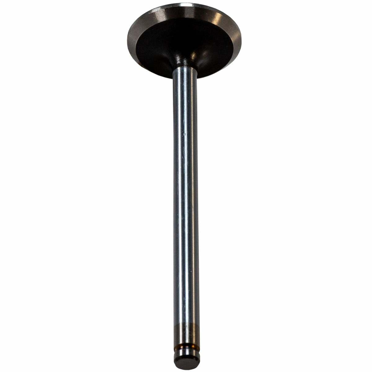 V1556 Melling Exhaust Valve