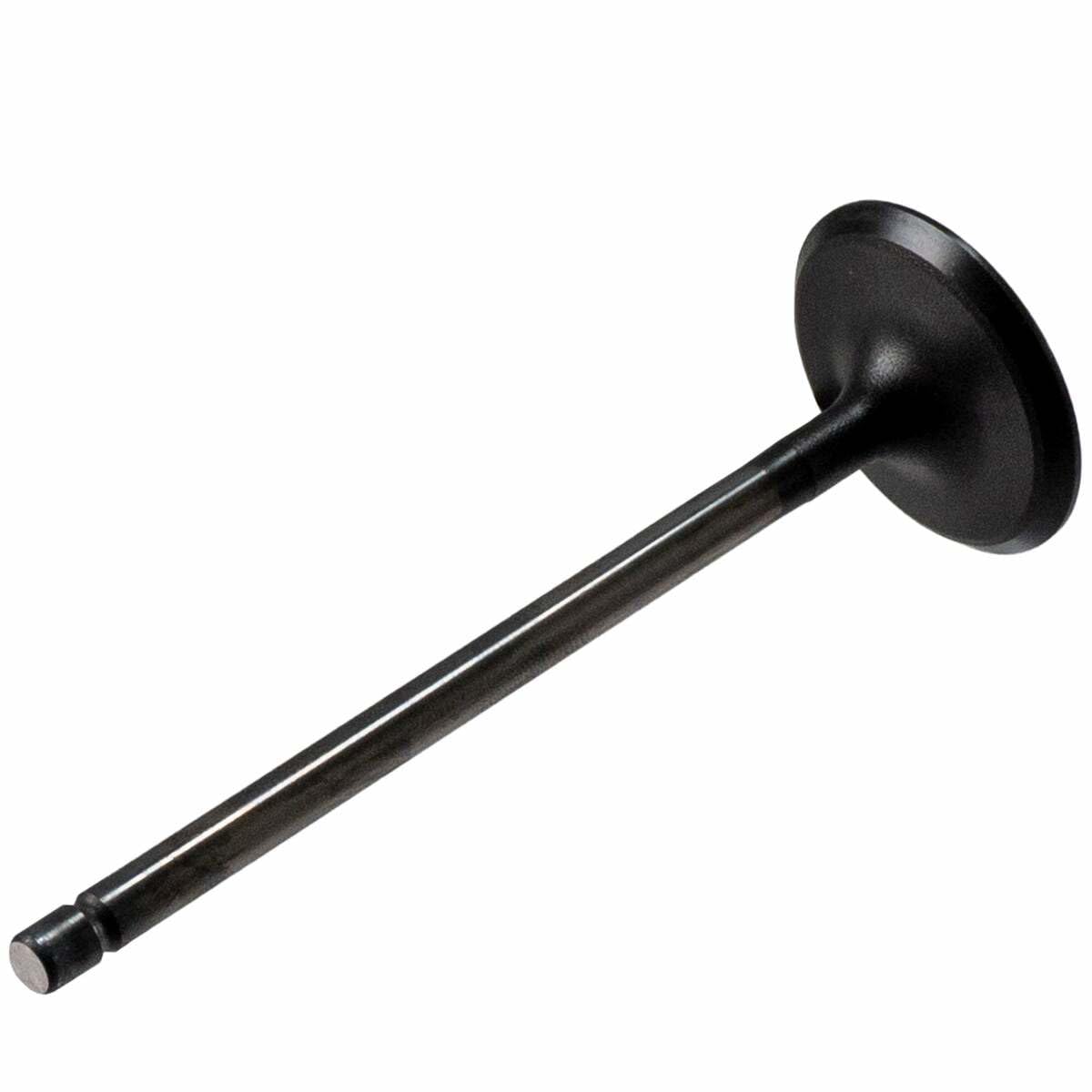 V5565 Melling Stock Replacement Engine Intake Valve
