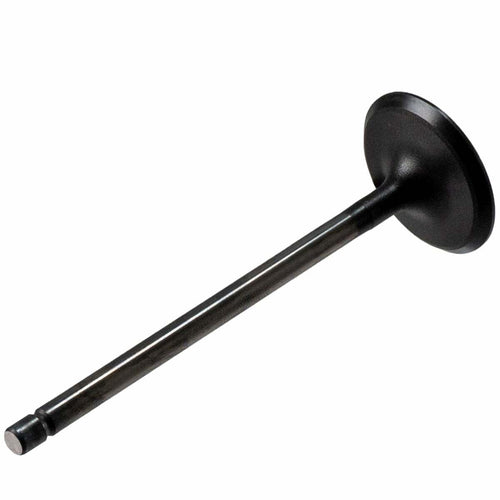 V5565 Melling Stock Replacement Engine Intake Valve