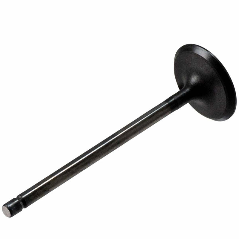 V5565 Melling Stock Replacement Engine Intake Valve