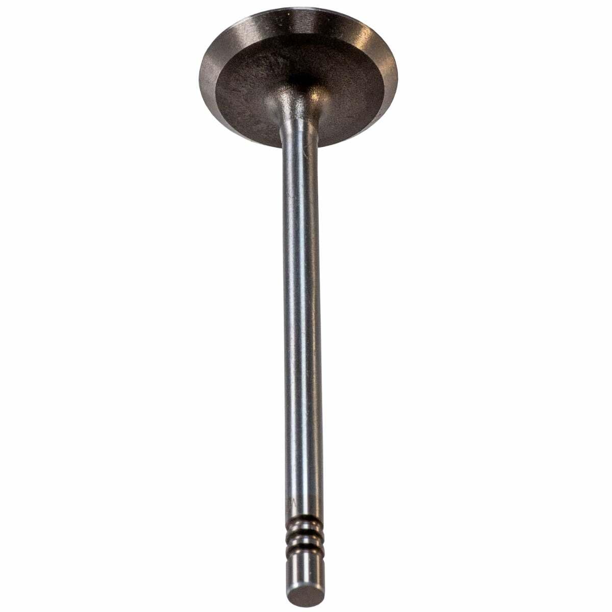 V1920 Melling Intake Valve