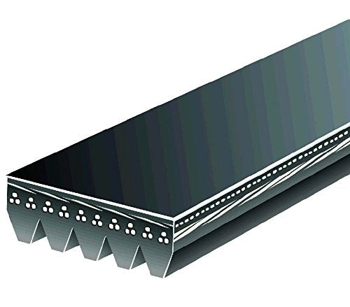 K050825 Gates Multi V-Groove Belt